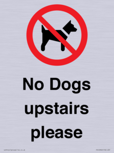 No Dogs upstairs please 